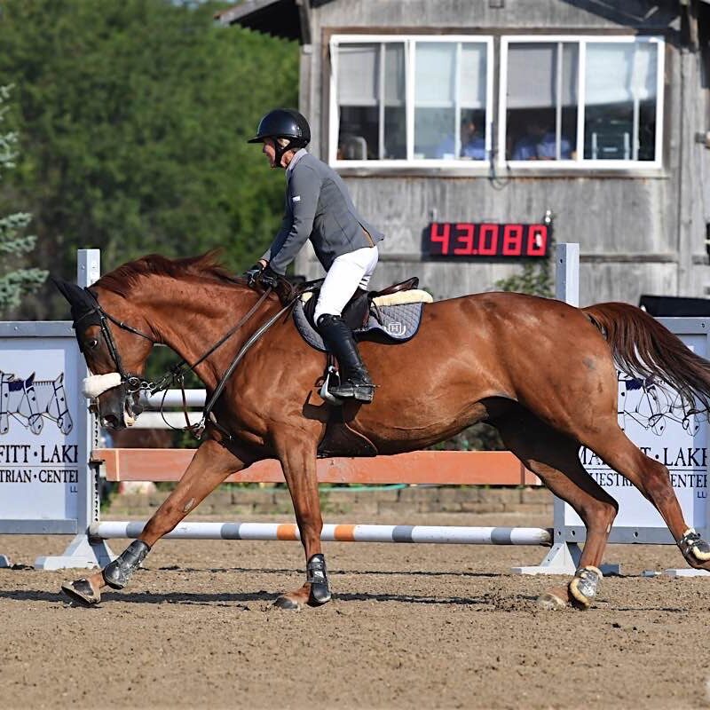 Hunter/Jumper Gallery